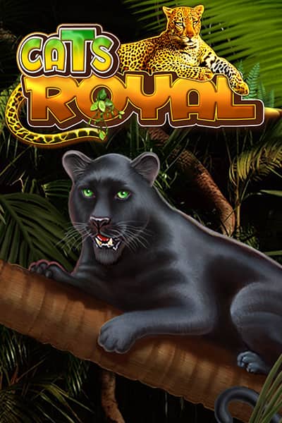 Cats Royal